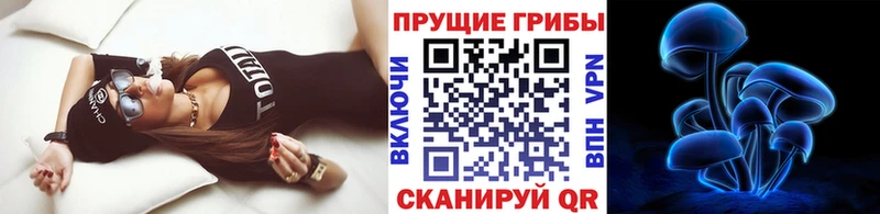 Галлюциногенные грибы прущие грибы  Кириши 