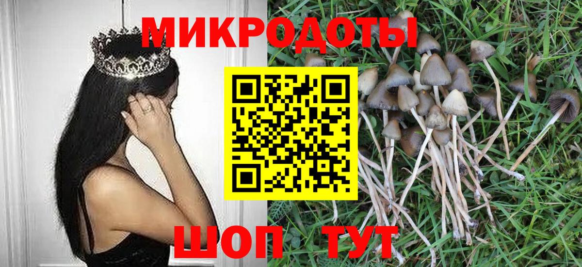 Кириши  Галлюциногенные грибы GOLDEN TEACHER  купить  цена  Вход с VPN 